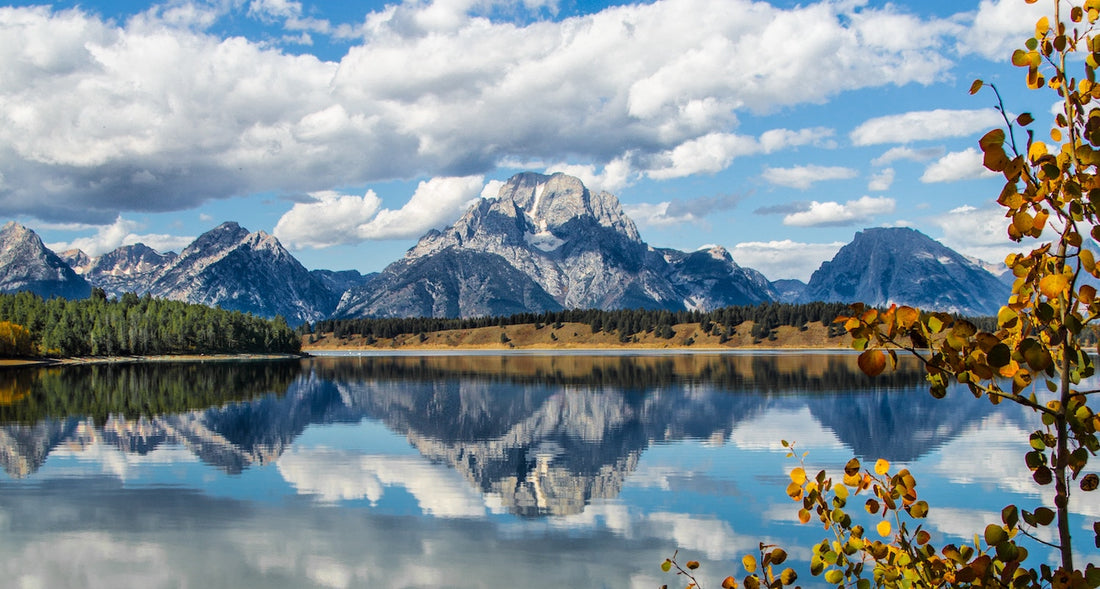 The Best Wyoming Campgrounds to Use Your Camping Compass