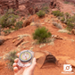 Scouting America TruArc™ 3 Compass
